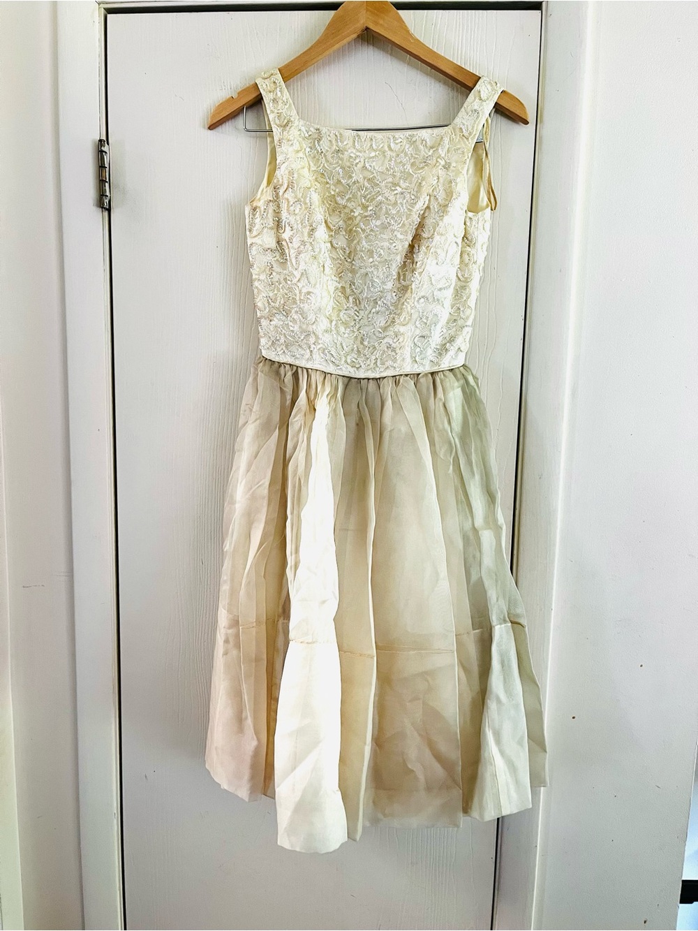 VTG 1950s Union Made Metal Zip Wounded Bird Silk Chiffon Party Dress